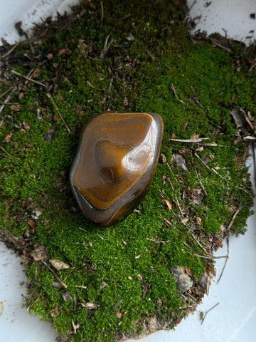 Сувенір " Tiger's eye" 510931 фото