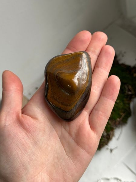 Сувенір " Tiger's eye" 510931 фото