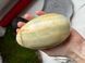 Сувенір яйце "Dragon egg" 2418 фото 1