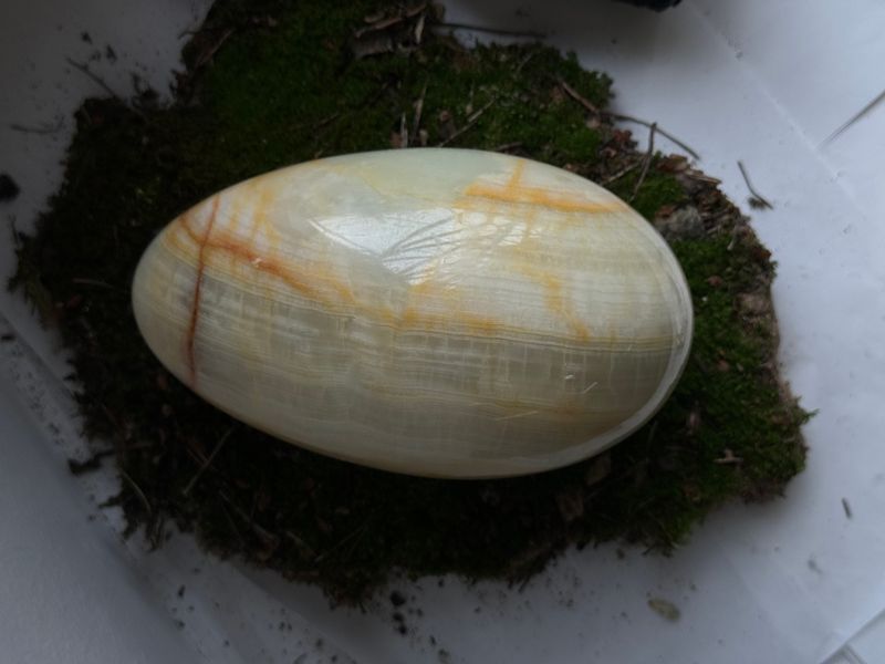 Сувенір яйце "Dragon egg" 2418 фото