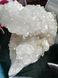 Сувенір "Druse Dragon head" 428691 фото 1