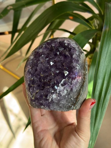 Друза "Amethyst" 428712 фото
